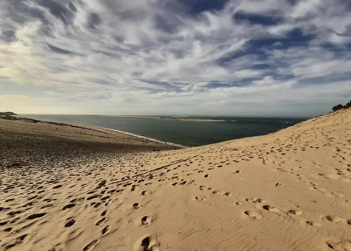 Location Avec Terrasse